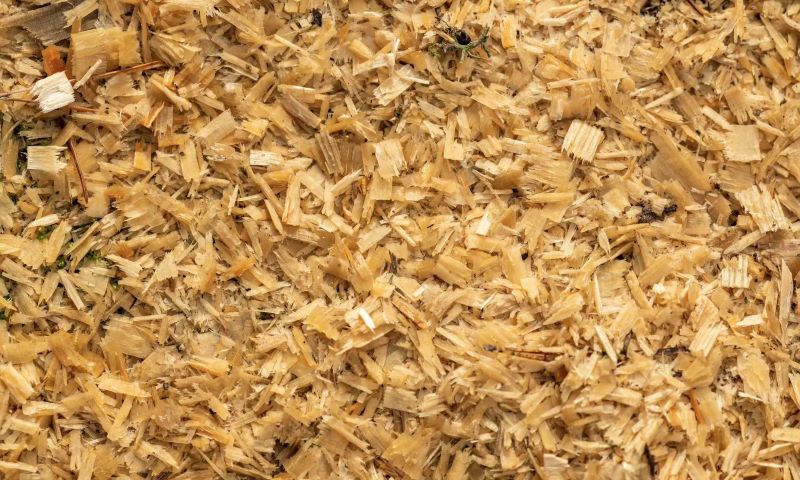 Maximizing Efficiency in Your Woodworking Shop: The Wood Chips Bagging Baler