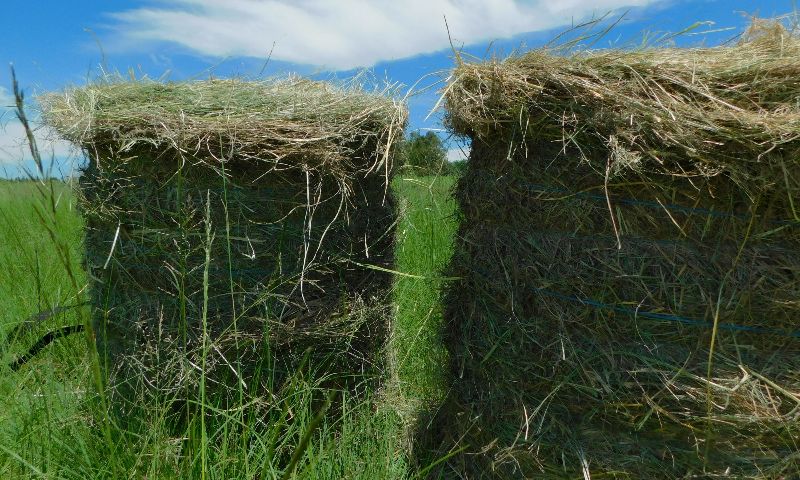 lucerne baler