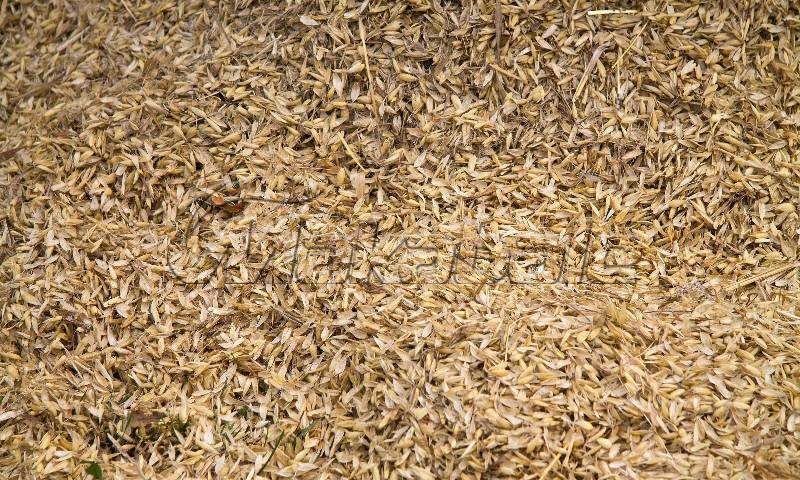 oat husk baler