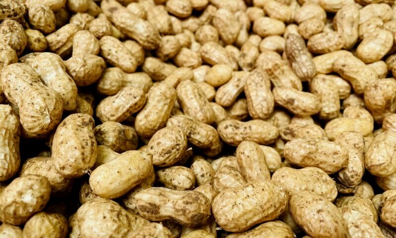 Peanut Shells, Compression Baggers, and Compost